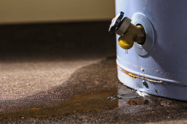  Prospect Rk, PA Water damage restoration Pros