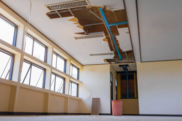 Best Basement water damage restoration  in Prospect Rk, PA