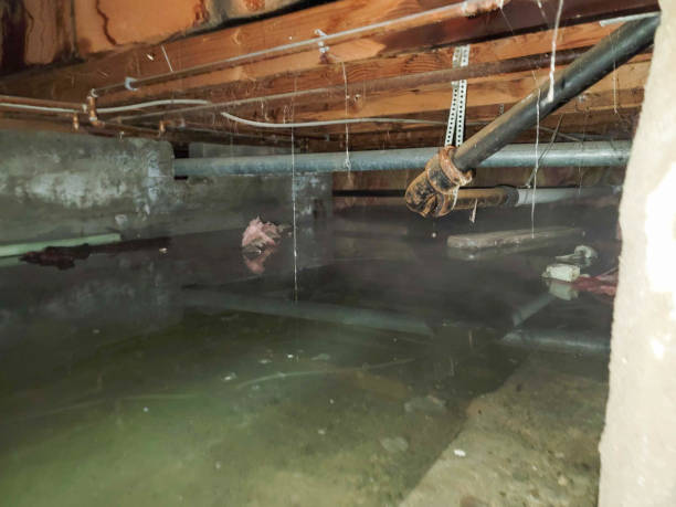 Best Residential water damage restoration  in Prospect Rk, PA