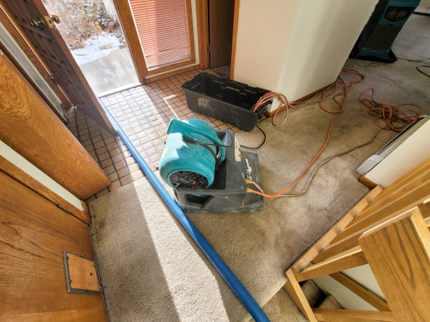 Best Water damage restoration cost  in Prospect Rk, PA