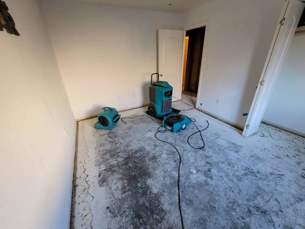 Best Flood damage cleanup  in Prospect Rk, PA