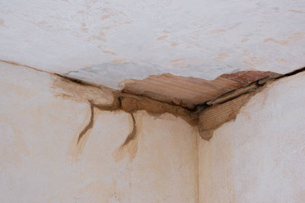 Best Flood restoration services  in Prospect Rk, PA