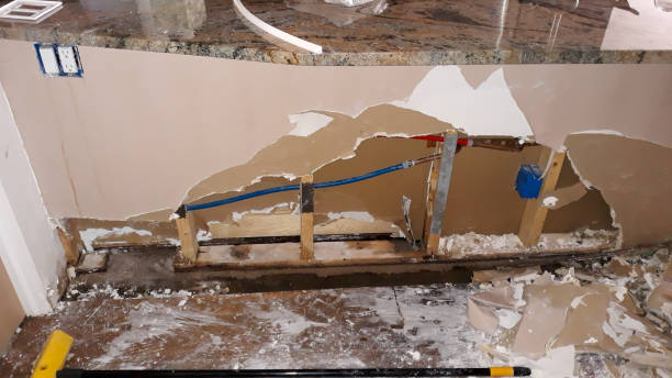 Best Carpet water damage restoration  in Prospect Rk, PA