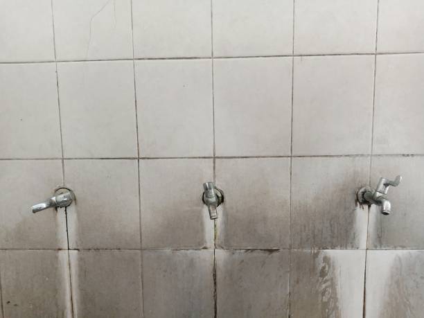 Best Sewage cleanup and water damage restoration  in Prospect Rk, PA